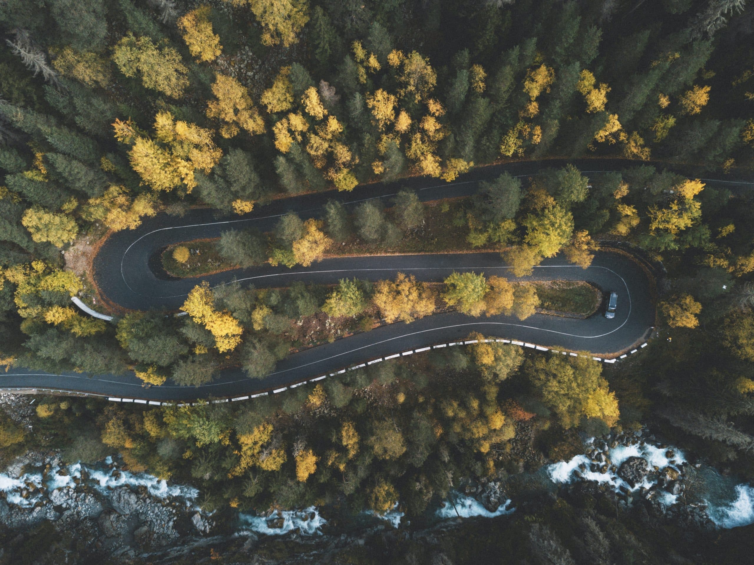 Mountain road with trees