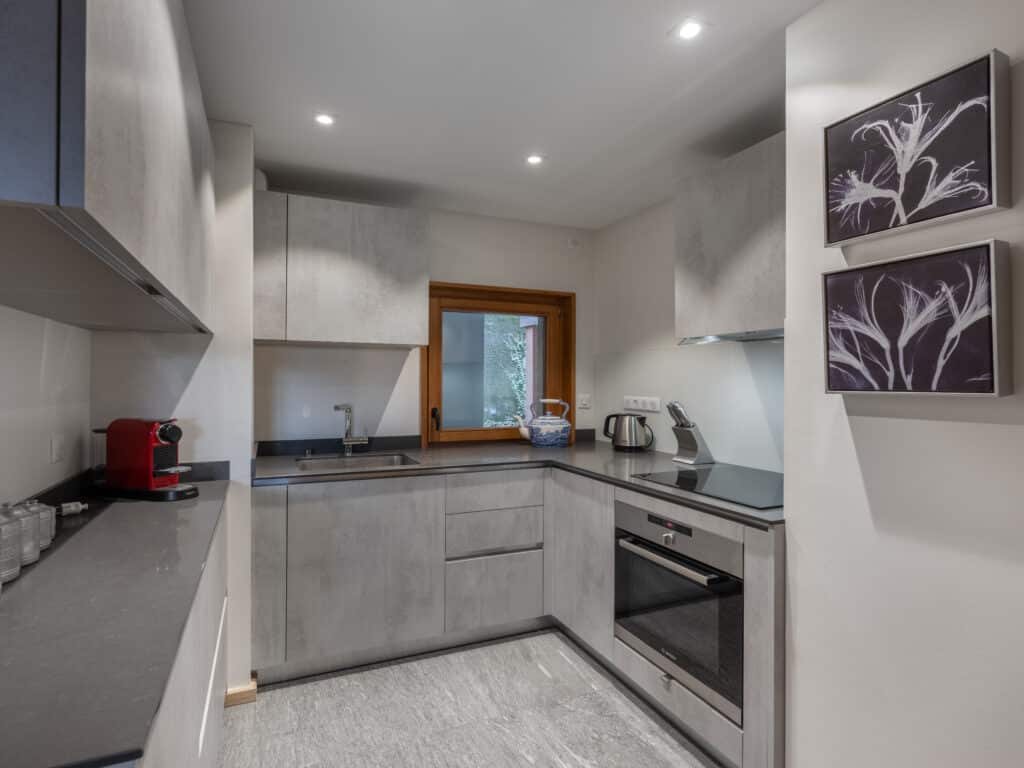 rental apartment luxury chatel 6people kitchen Châtel